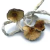 Buy Cuban Dried Magic Mushrooms Online