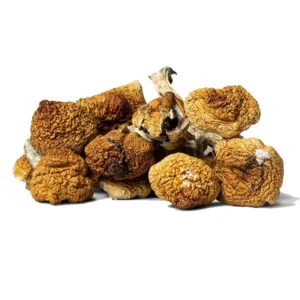 Buy Daddy Long Legs Dried Magic Mushrooms Online