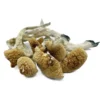 Buy Lizard King Dried Magic Mushrooms Online