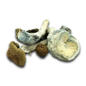 Buy Mazatapec Dried Magic Mushrooms Online