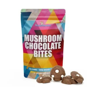 Order Mushroom Infused Chocolate Bites Online