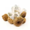 Order Texas Yellow- Cap Dried Magic Mushrooms Online