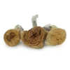 Buy Z-Strain Dried Magic Mushrooms Online